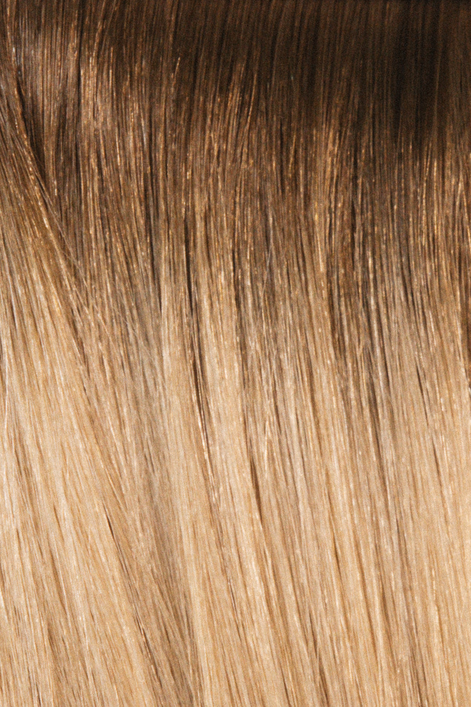 Luxury Signature Weft Collection-1