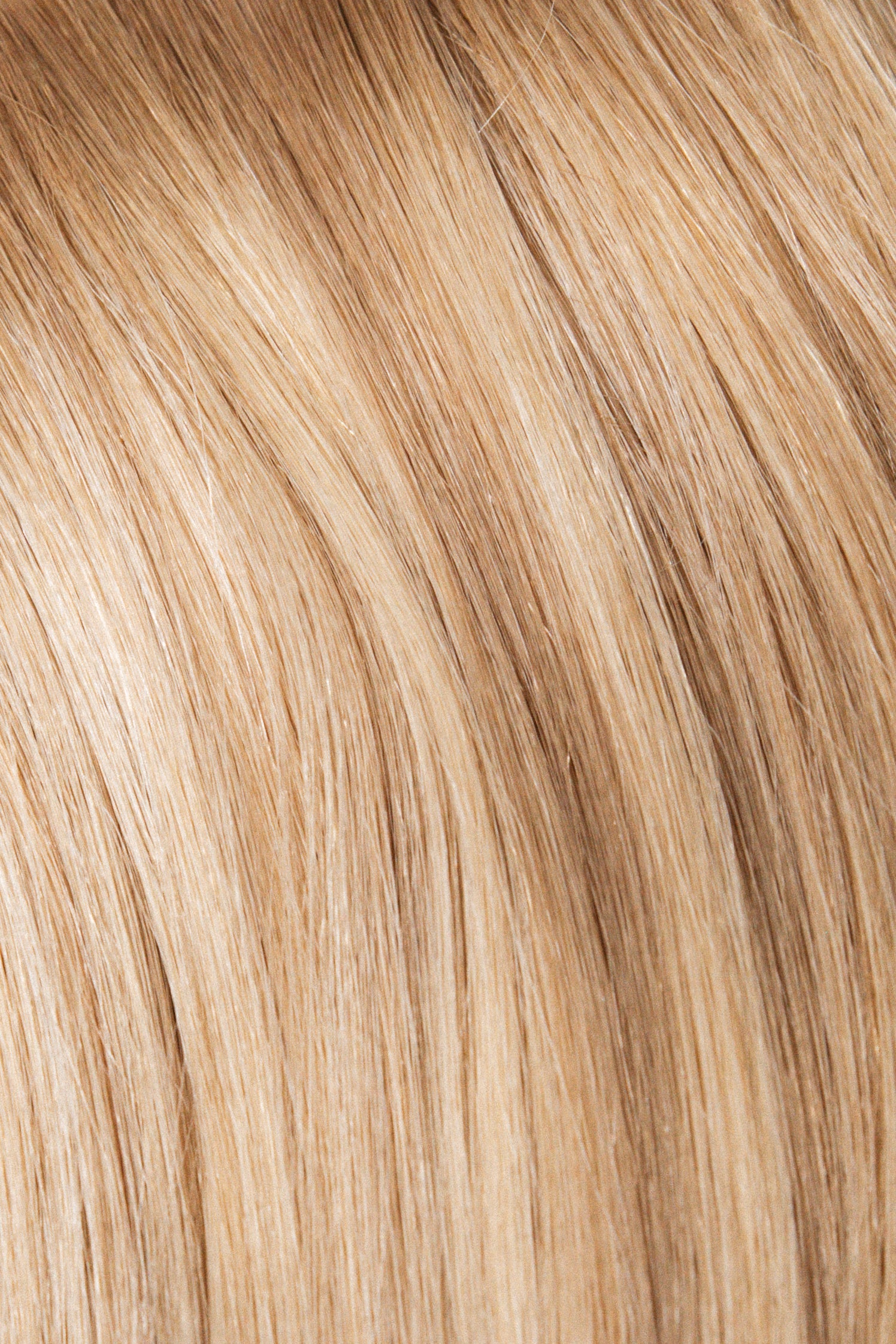 Luxury Signature Weft Collection-2
